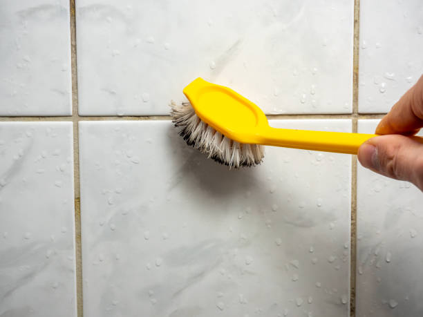 Best Mold Cleaning Services  in Combee Settlement, FL