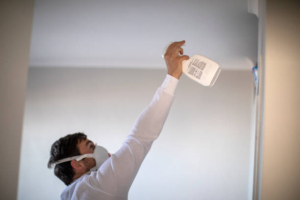 Best Crawl Space Mold Removal  in Combee Settlement, FL