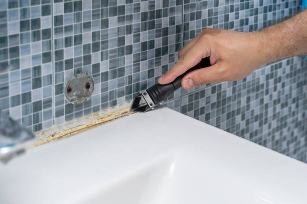 Best Office Mold Removal Services  in Combee Settlement, FL