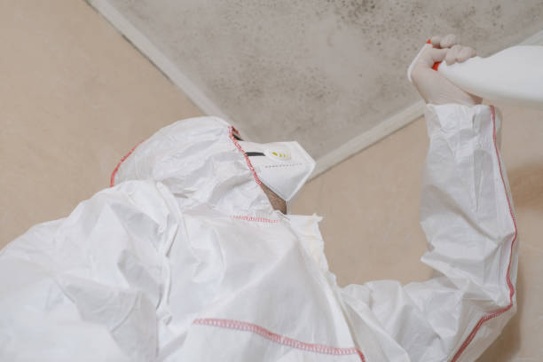 Crawl Space Mold Removal in Combee Settlement, FL